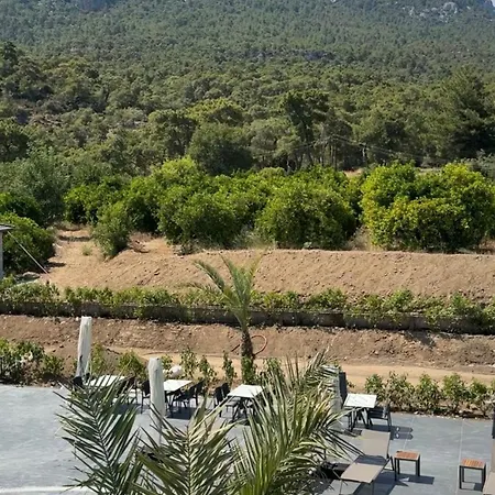 Minta Hills Kemer *